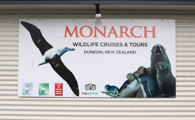 Monarch Cruise in Otago Harbour